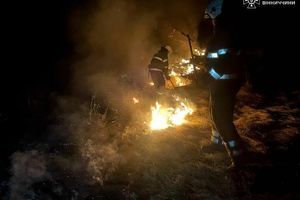 Экопожары в Украине: ДСНС использует беспилотники для выявления поджигателей фото