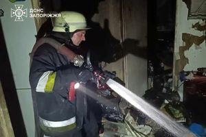 Спасение в Запорожье: сотрудники ДСНС вынесли из огня двух человек в бессознательном состоянии фото