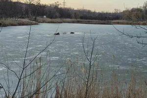 В Днепропетровской области спасатели вытащили из ледяной воды двух мужчин фото