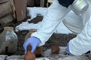 В Житомире во дворе частного дома обнаружили 15 кг ртути фото