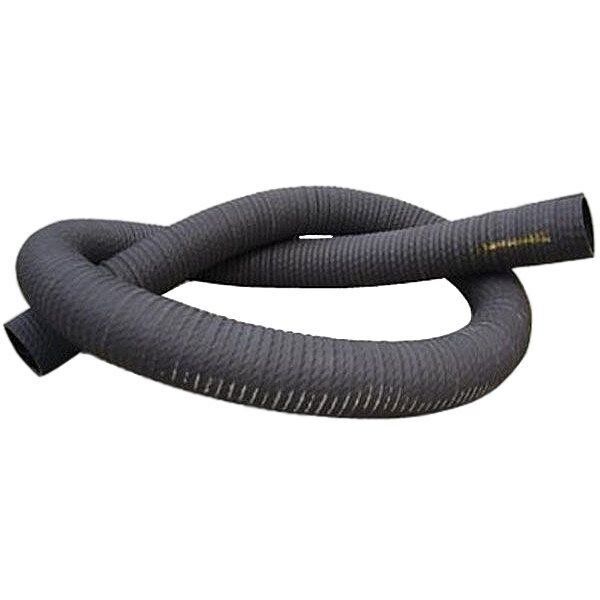 Николаев, Украинадағы ауызша секс әуесқойлары