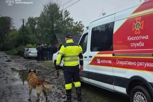 Пошуки дитини на Чернігівщині: операція ДСНС та безпека об'єктів фото
