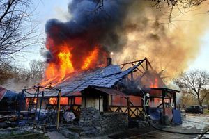 В столичном Гидропарке сгорело кафе фото