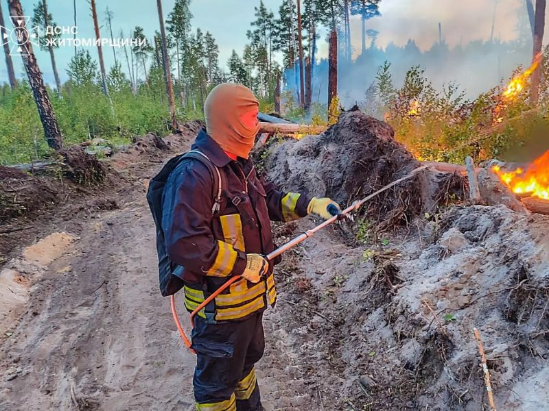 Працівники лісового господарства та спецтехніка облаштовують мінералізовані смуги для запобігання поширенню пожежі.