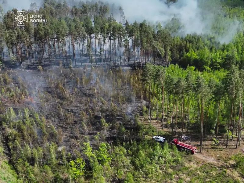 Вид зверху на лісову пожежу, гасіння загоряння силами ДСНС із залученням пожежної техніки.
