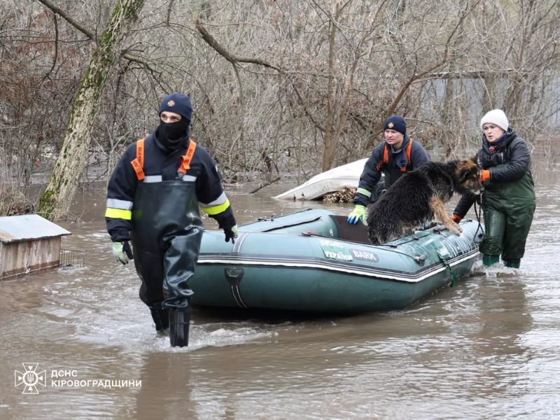 Спасатели ГСЧС и женщина в защитных костюмах тянут надувную лодку с собакой по воде среди затопленных деревьев в Кировоградской области.
