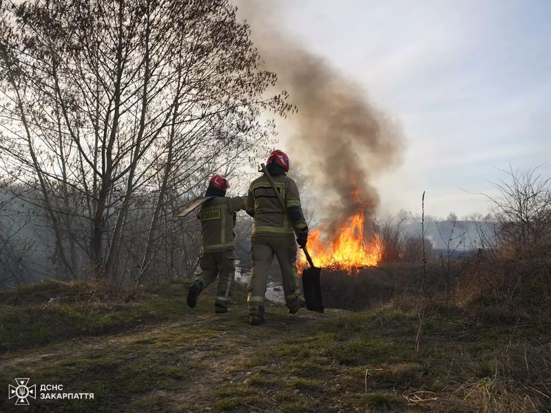 Двое пожарных в полной экипировке и шлемах подходят к очагу возгорания сухой травы и кустов. Видно яркое пламя и столб густого дыма на открытой местности.