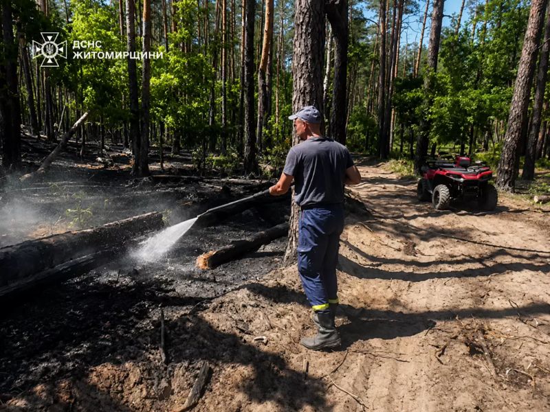 Співробітник ДСНС або лісового господарства проливає водою тліючу лісову підстилку для запобігання повторному займанню на Житомирщині.