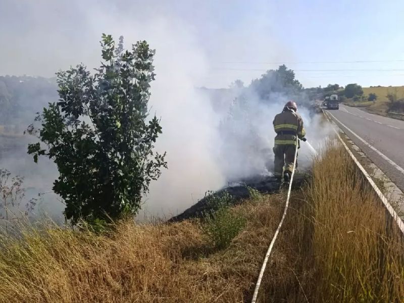 Співробітник ДСНС ліквідовує пожежу в екосистемі, гасіння сухої трави біля дороги.