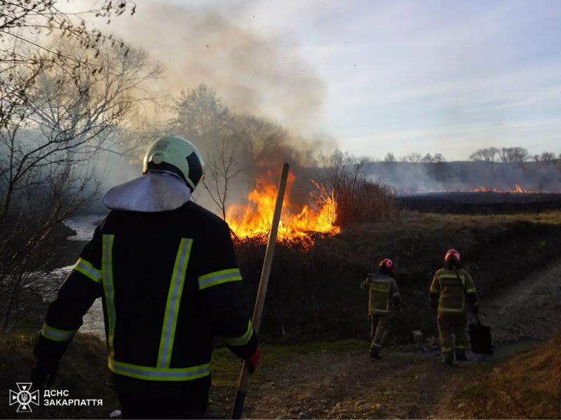 Група вогнеборців ДСНС Закарпатської області ліквідовує масштабне загоряння сухої трави та чагарників біля річки. Пожежники у повному екіпіруванні та захисних шоломах використовують шанцевий інструмент для приборкання відкритого вогню та запобігання поширенню пожежі в екосистемі.