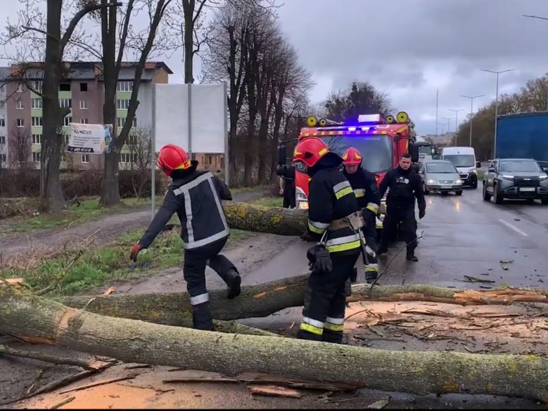 Ліквідація наслідків негоди співробітниками ДСНС шляхом прибирання повалених дерев з траси