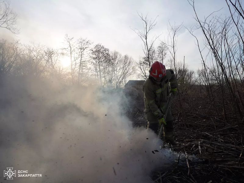 Вогнеборець ДСНС Закарпатської області ліквідовує пожежу сухої трави та чагарників серед дерев. Кадр задимленої ділянки під час роботи рятувальника у захисному спорядженні.