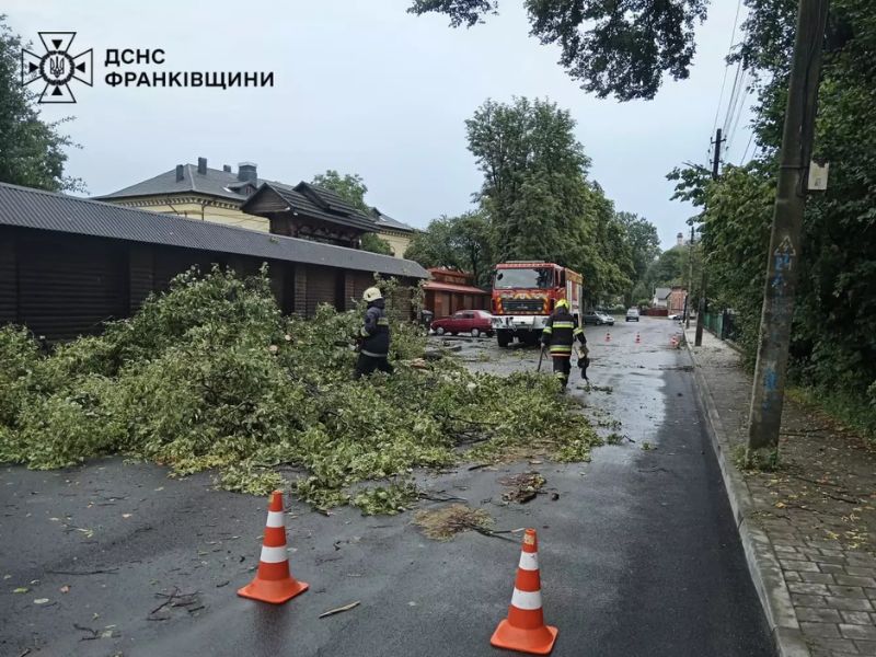 Рятувальники ДСНС розпилюють повалене дерево на проїжджій частині для відновлення руху після негоди у Коломиї, на тлі стоїть пожежний автомобіль.