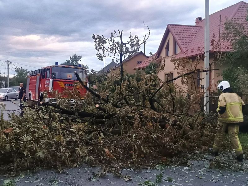 Рятувальник ДСНС готується до ліквідації наслідків буревію біля масивного поваленого дерева на вулиці житлового сектора, на тлі стоїть пожежний автомобіль.