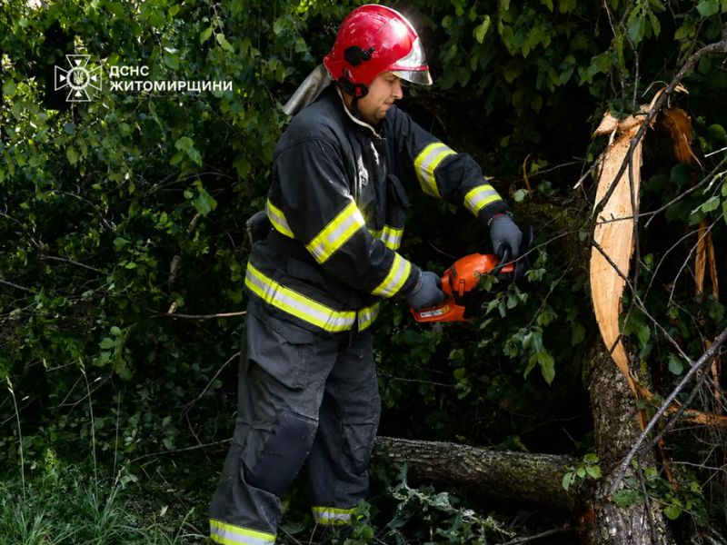 Співробітник ДСНС у захисному екіпіруванні та касці розпилює повалене дерево бензопилою для розчищення дороги.