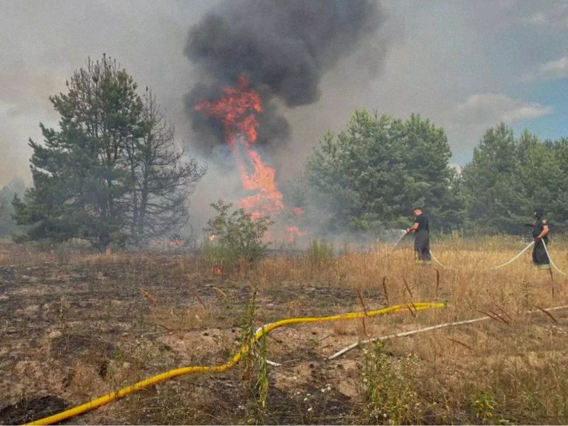 Співробітники ДСНС ліквідовують загоряння лісової підстилки та високе відкрите полум'я за допомогою пожежних рукавів.