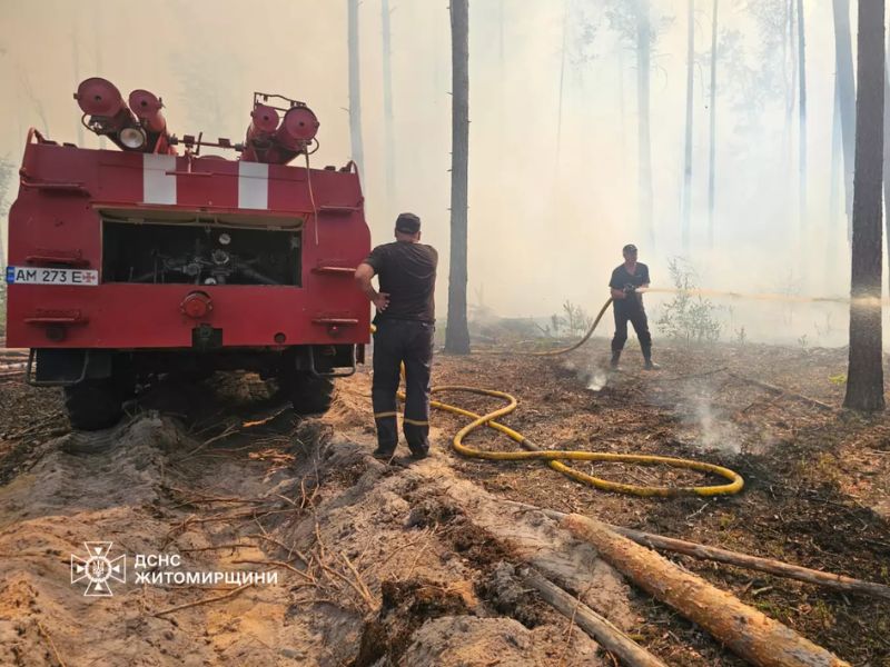Рятувальники ДСНС здійснюють гасіння масштабної лісової пожежі за допомогою пожежної автоцистерни та рукавної лінії у задимленому лісі Житомирщини.