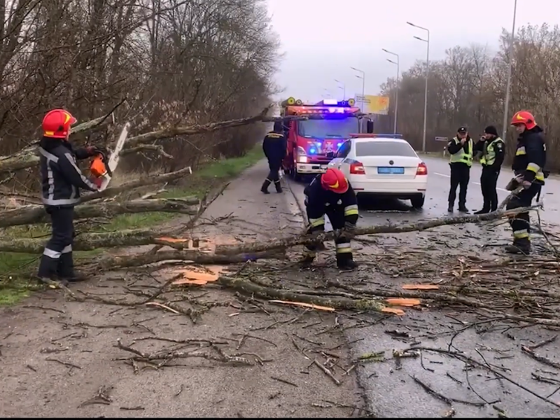 Рятувальники ДСНС розпилюють упале дерево бензопилою для розчищення проїжджої частини.
