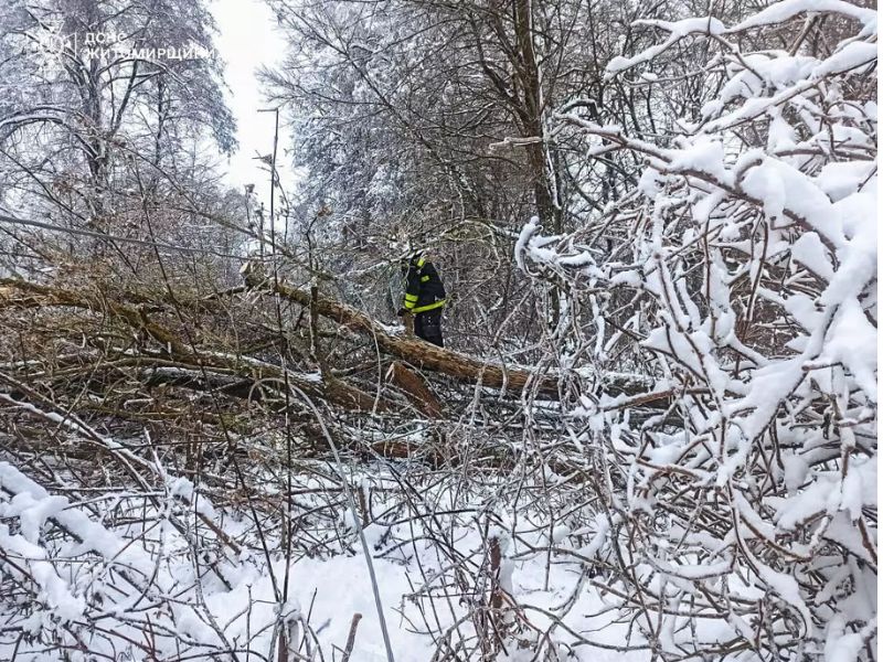 Спасатель ДСНС Житомирской области распиливает поваленное дерево в зимнем лесу после сильного снегопада. Ликвидация последствий непогоды и расчистка завалов.