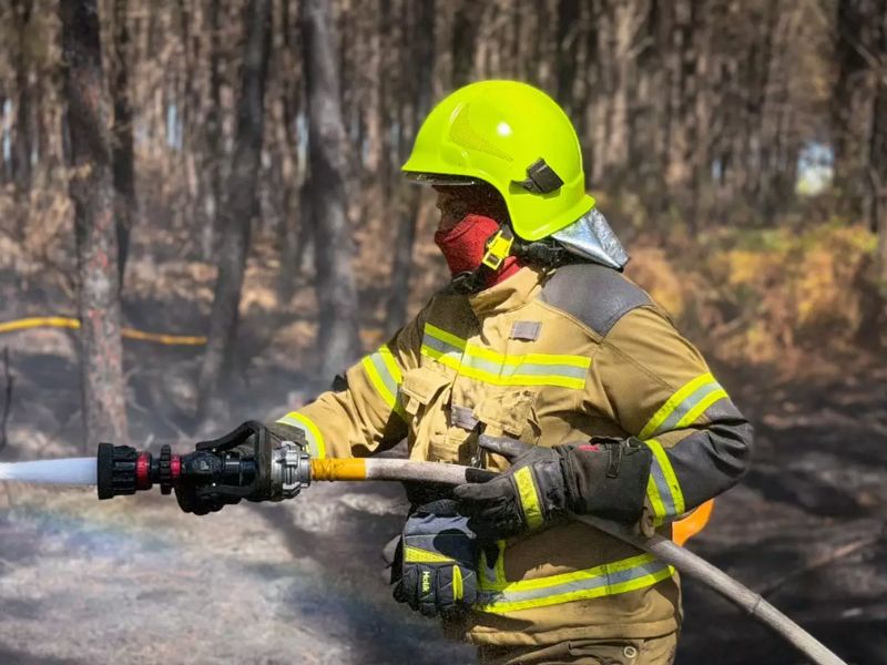 Вогнеборець ДСНС з ручним пожежним стволом здійснює подачу води для гасіння осередку займання в лісовому масиві.