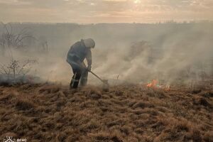 ❗️1263 пожежі в екосистемах за добу: понад 966 гектарів української природи знищено вогнем❗️