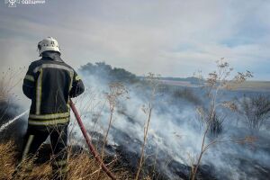 482 пожара за неделю: поджоги травы в Одесской области нанесли 29 млрд убытков ⚠️