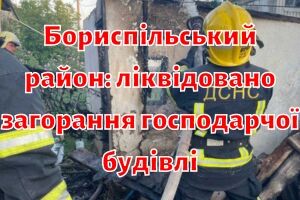 Бориспольский район: ликвидировано возгорание хозяйственного здания