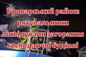 Броварской район: спасатели ликвидировали возгорание хозяйственного здания