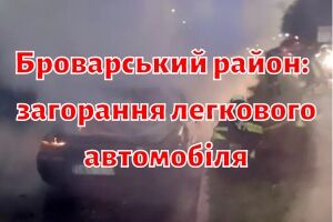 Броварской район: спасатели ликвидировали возгорание легкового автомобиля