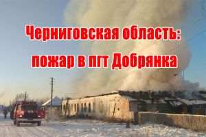 Черниговская область: пожар в пгт Добрянка