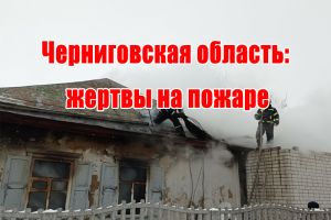 Черниговская область: жертвы на пожаре