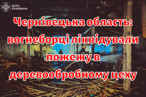 Чернівецька область: вогнеборці ліквідували пожежу в деревообробному цеху