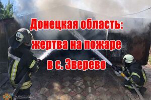 Донецкая область: жертва на пожаре в с. Зверево