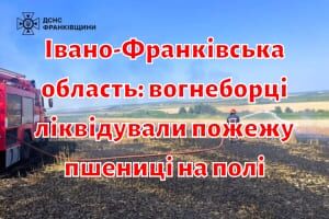 Івано-Франківська область: вогнеборці ліквідували пожежу пшениці на полі