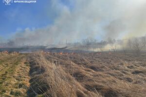 ❗️Івано-Франківська область: впродовж доби на території області виникло 112 пожеж в екосистемах❗️