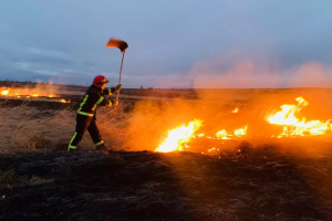 ❗️Івано-Франківська область: за останню добу зафіксовано 8 пожеж у природних екосистемах❗️
