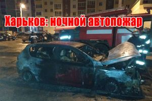 Харьков: ночной автопожар