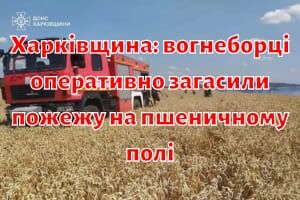 Харківщина: вогнеборці оперативно загасили пожежу на пшеничному полі