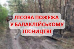 Харківщина: рятувальники гасять лісову пожежу у Балаклійському лісництві