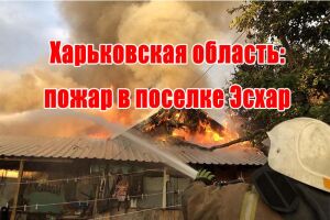 Харківська область: пожежа в селищі Есхар