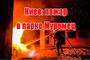 Київ: пожежа у парку Муромець