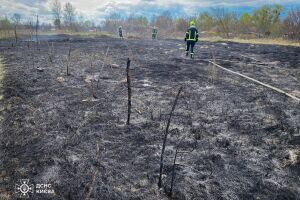 ❗️Київ: рятувальники ліквідували займання в екосистемах❗️