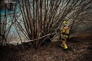 ❗️Київщина: 45 пожеж за минулу добу: рятувальники безупинно борються з вогнем❗️