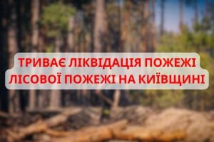 Київщина: триває ліквідація пожежі лісової підстилки