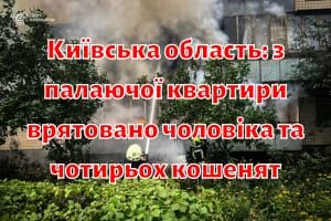 Київська область: з палаючої квартири врятовано чоловіка та чотирьох кошенят
