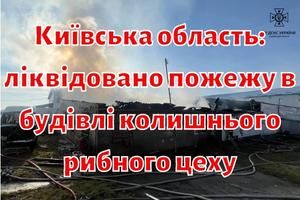 Київська область: ліквідовано пожежу в будівлі колишнього рибного цеху