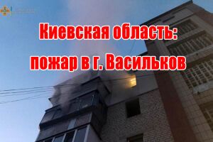 Киевская область: пожар в г. Васильков