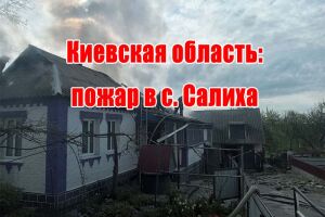 Київська область: пожежа у с. Салиха