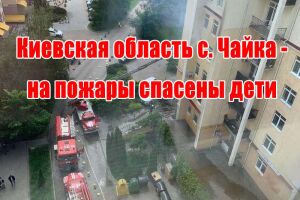 Київська область: с. Чайка - на пожежі врятовані діти
