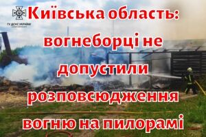 Київська область: вогнеборці не допустили розповсюдження вогню на пилорамі